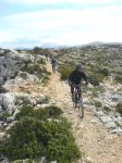 coll-deia-coll18.jpg