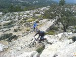 coll-deia-coll19.jpg