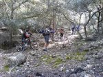 coll-deia-coll26.jpg
