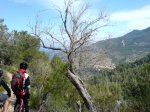 coll-deia-coll27.jpg