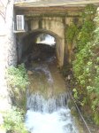coll-deia-coll31.jpg