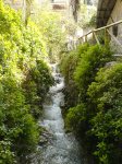 coll-deia-coll33.jpg