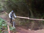 DSC00595.JPG