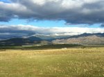 IMG_1354.JPG