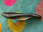100_3777.jpg