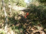 DSCN1239copia.jpg