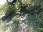 DSCN1267copia.jpg