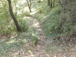 DSCN1279copia.jpg