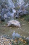 IMG-20121102-WA0001.jpg
