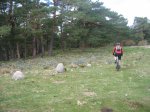 IMG_0173.JPG