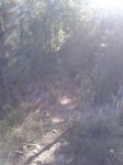 2012-10-28 09.49.15.jpg