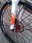 IMAG0307.jpg