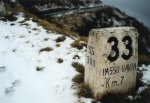 gavia8lw.jpg