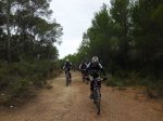 CIMG3180 (Copiar).JPG
