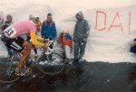 Chioccioli, Franco 366-Giro 1988 lider Gavia.jpg