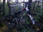 Argentona-20121101-00319.jpg