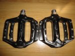 DSC04411.JPG