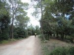 DSC01755.JPG