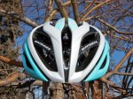bontrager_oracle_front_2_600.jpg