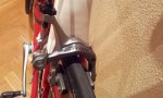 20121105_132000.jpg
