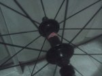 rueda4.jpg