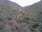 406926_264522243669633_580538870_n[1].jpg
