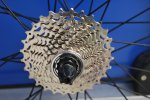 shimano3.jpg