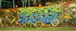 DSCN3930.jpg