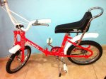 moto rojo fosfo.jpg