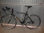 goka ultegra 1.jpg