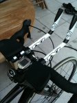 IMG_2494 lowres.jpg