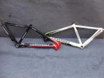 CUADROS FERRIS CANNONDALE TAURINE 018_640x480.jpg