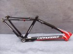 CUADROS FERRIS CANNONDALE TAURINE 003_640x480.jpg