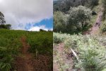 2012-06-08 11.07.31.jpg