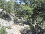 IMG_1437.JPG