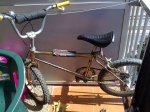BMX_TORROT_DORADA_600.jpg