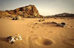 desierto-1.jpg