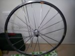 20121107_120945.jpg