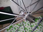 20121107_121006.jpg