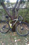 specialized 50.JPG