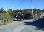 DSC00177 (800x600).jpg