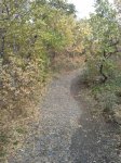 2012-11-07 10.52.18.jpg