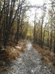 2012-11-07 11.08.37.jpg