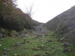 IMG_5981.JPG