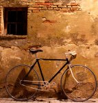 bici2.jpg