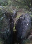 DSC_0818a.jpg