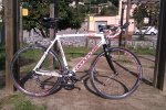 cx91.jpg