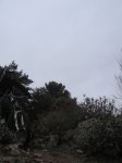 IMG_0017.JPG