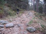 IMG_0035.JPG