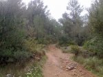 081120121020 - copia.jpg